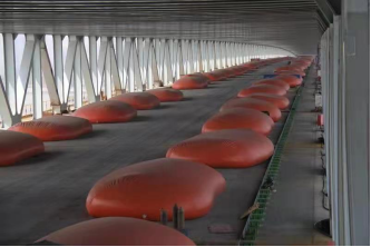 �������d